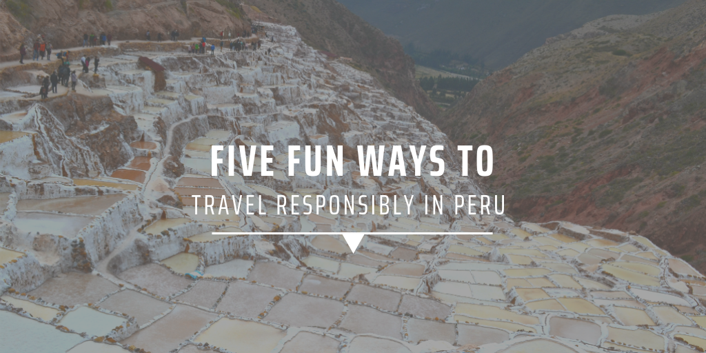volunteer in south america