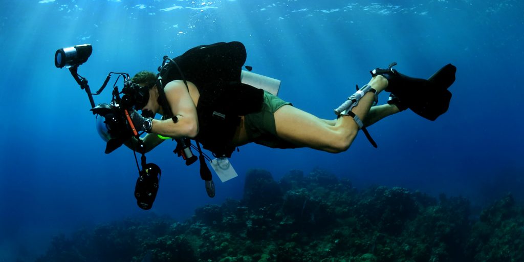 Eight scuba diving jobs you can get as a PADI pro GVI UK