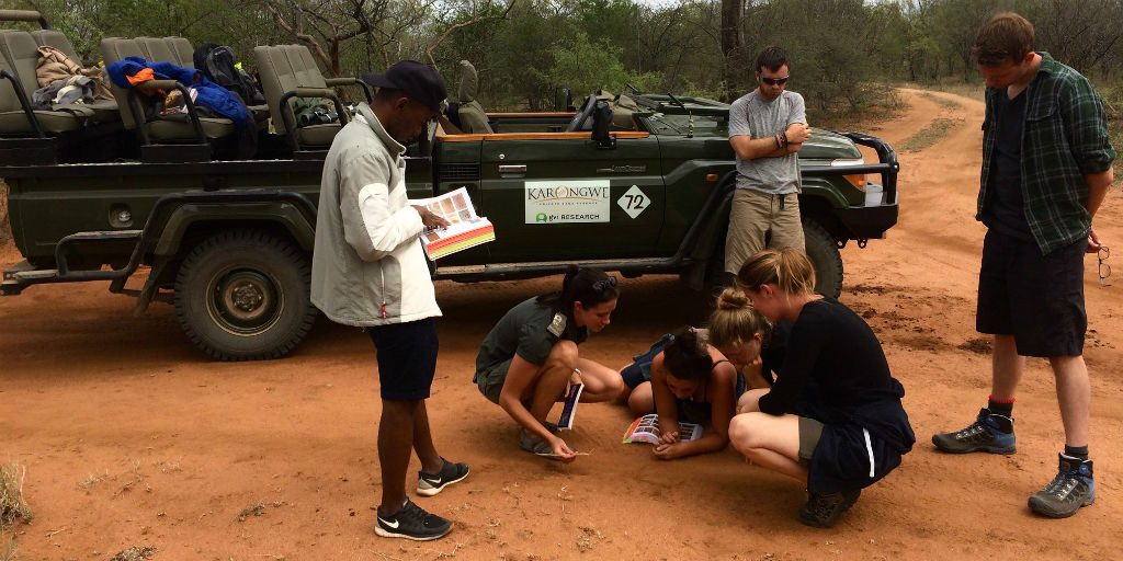 Volunteers in limpopo contributing towards the conservation of endangered species