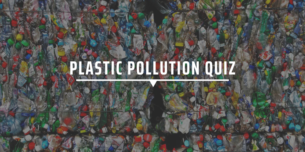 Plastic Pollution Quiz Gvi Uk