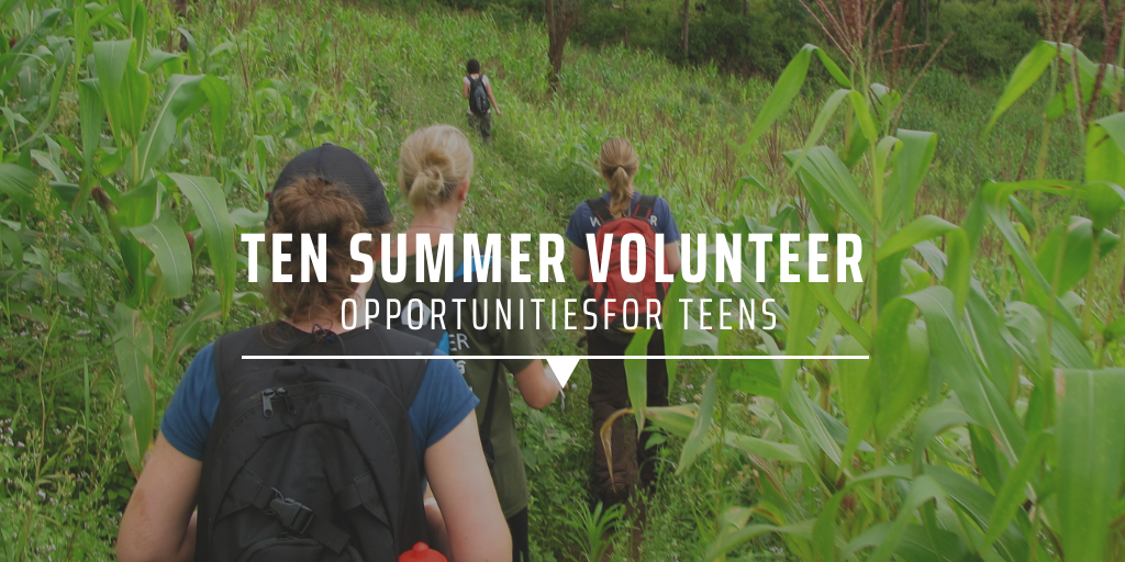 Ten summer volunteer opportunities for teens GVI UK