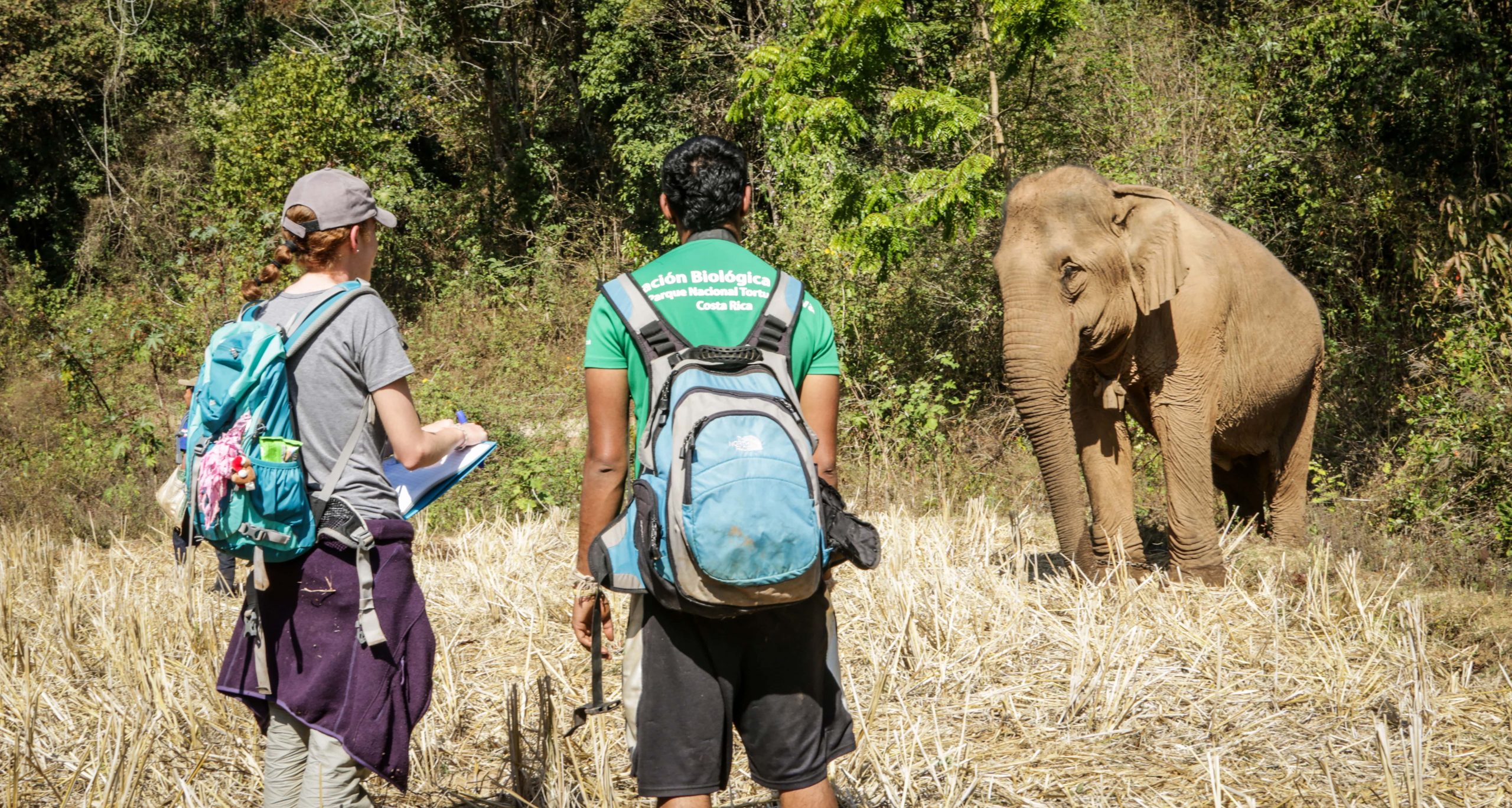 Wildlife Conservation | GVI UK