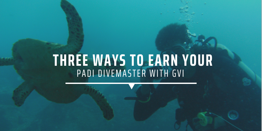 Three ways to earn your PADI Divemaster with GVI