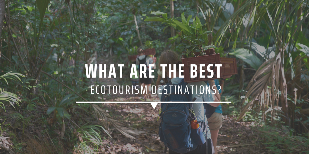 What are the best ecotourism destinations?