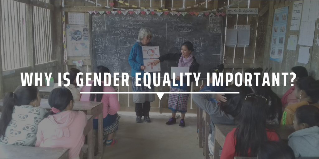 Why is gender equality important GVI IRE